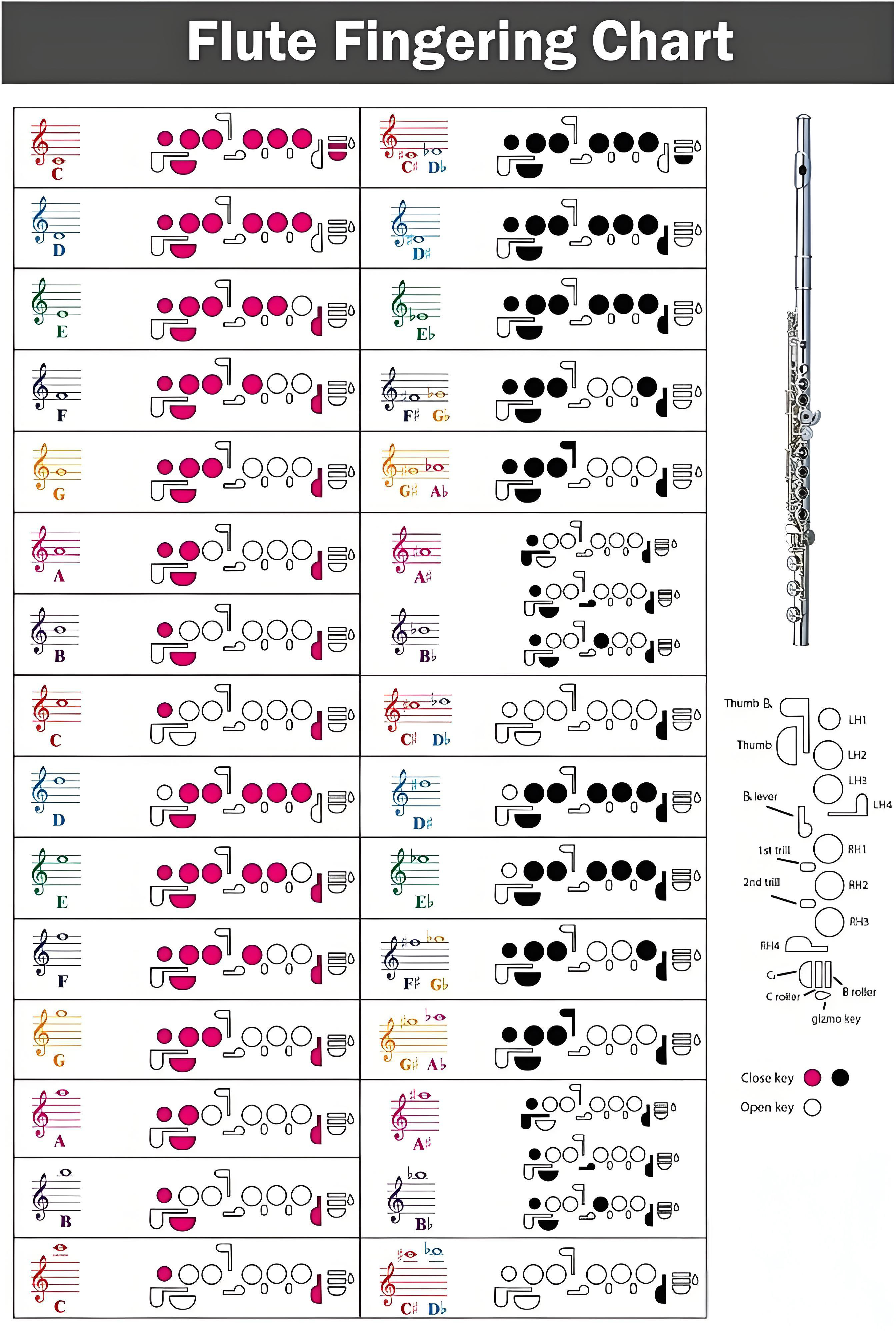 Flute fingering chart - complete guide with all notes and positions