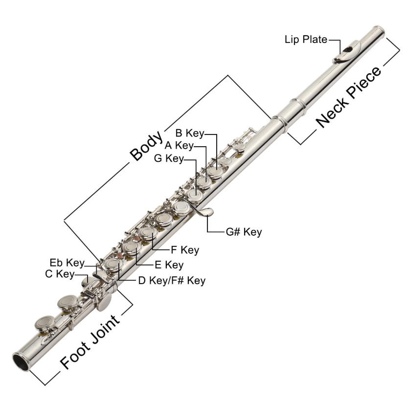 Flute fingering chart - anatomy and parts diagram for beginners