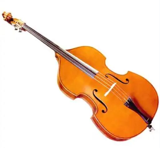 Double Bass Fingering Chart